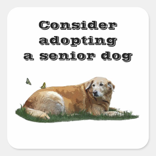 Yellow Labrador Mixed Breed Dog Adoption Stickers (Front)