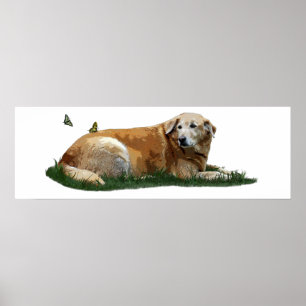 Yellow Labrador Mixed Breed Dog Poster