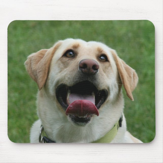 Yellow Labrador mousepad (Front)