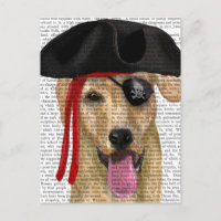 Yellow Labrador Pirate 2