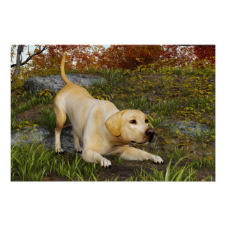 Yellow Labrador Play Bow in Autumn Woods Poster