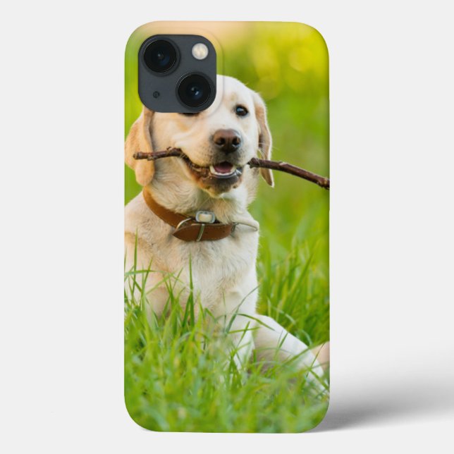 Yellow Labrador Plays Fetch With Stick Case-Mate iPhone Case (Back)