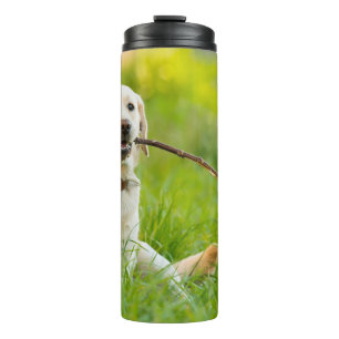Yellow Labrador Plays Fetch With Stick Thermal Tumbler