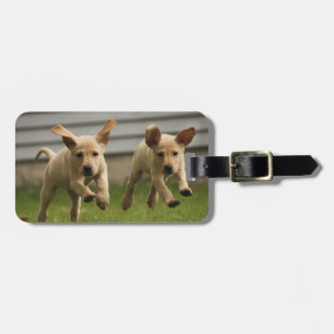 Yellow Labrador Puppies Running Luggage Tag