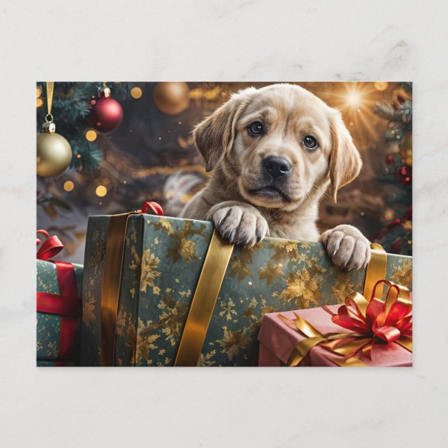 Yellow Labrador Puppy Christmas Holiday (Front)