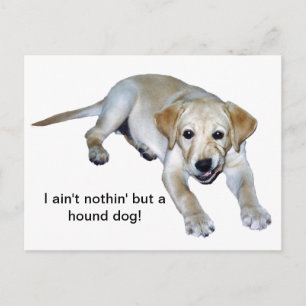 Yellow Labrador Puppy Postcard