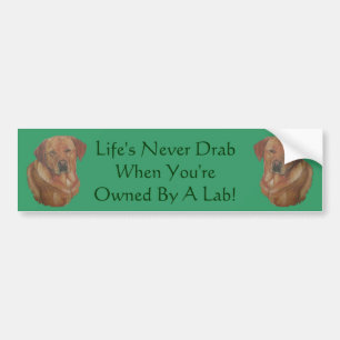 yellow labrador retreiver dog portrait fun slogan bumper sticker