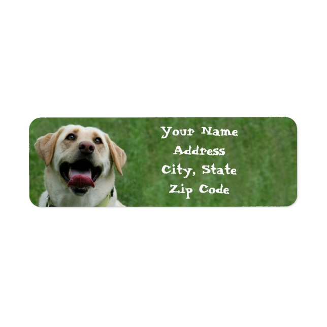 Yellow Labrador Retriever Address Labels (Front)
