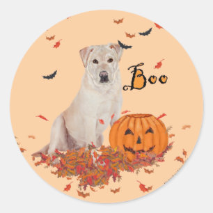 Yellow Labrador Retriever Boo! Classic Round Sticker