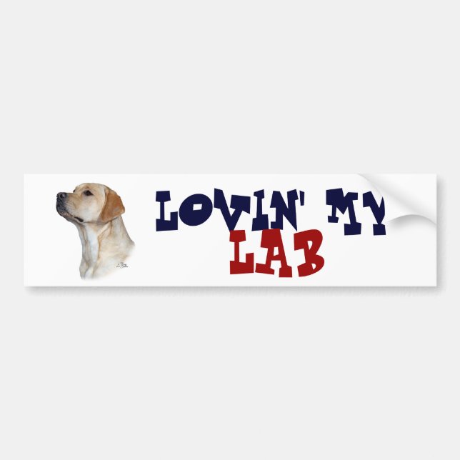 Yellow Labrador Retriever bumper sticker (Front)