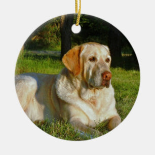 Yellow Labrador Retriever Ceramic Tree Decoration