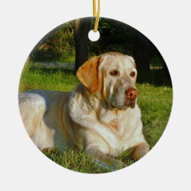 Yellow Labrador Retriever Ceramic Tree Decoration (Front)