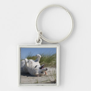 Yellow Labrador Retriever Key Ring