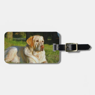 Yellow Labrador Retriever Luggage Tag