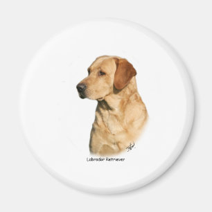 Yellow Labrador Retriever Magnet