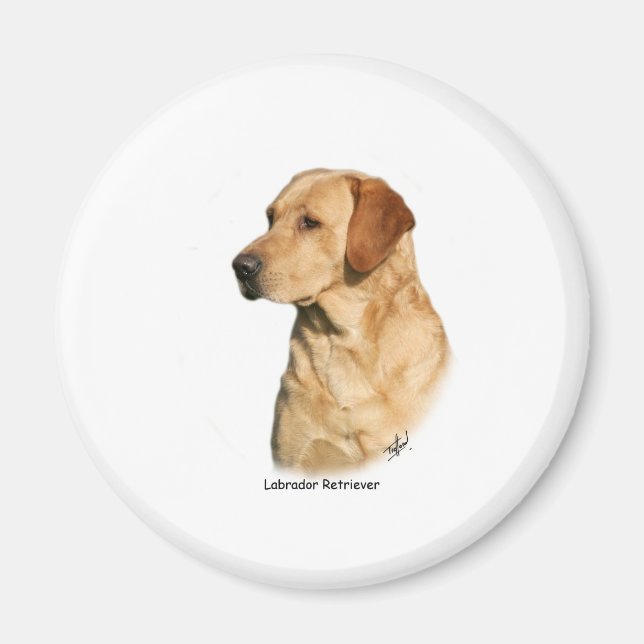 Yellow Labrador Retriever Magnet (Front)