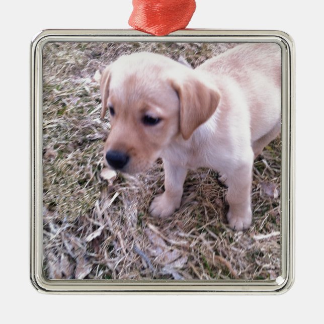 Yellow Labrador Retriever Metal Tree Decoration (Front)