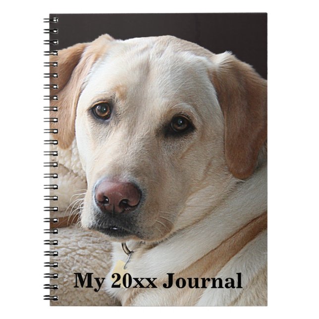 Yellow Labrador Retriever Notebook (Front)