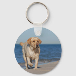 Yellow labrador retriever on the beach key ring