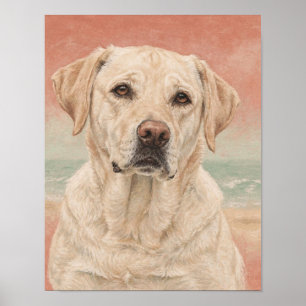 Yellow Labrador Retriever Portrait in Coral and Sa Poster
