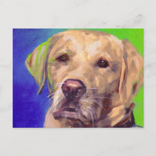 Yellow Labrador Retriever Postcard (Front)