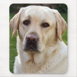 Yellow Labrador Retriever Puppy Dog Mouse Pad