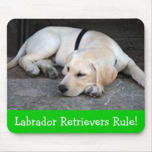 Yellow Labrador Retriever Puppy Dog Mousepad