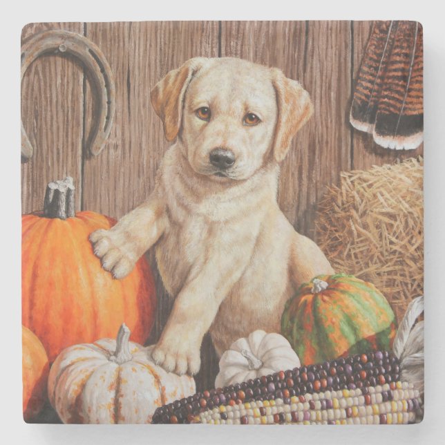 Yellow Labrador Retriever Puppy Dog Pumpkin Autumn Stone Coaster (Front)