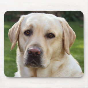 Yellow Labrador Retriever Puppy Dog - Yellow Lab Mouse Pad