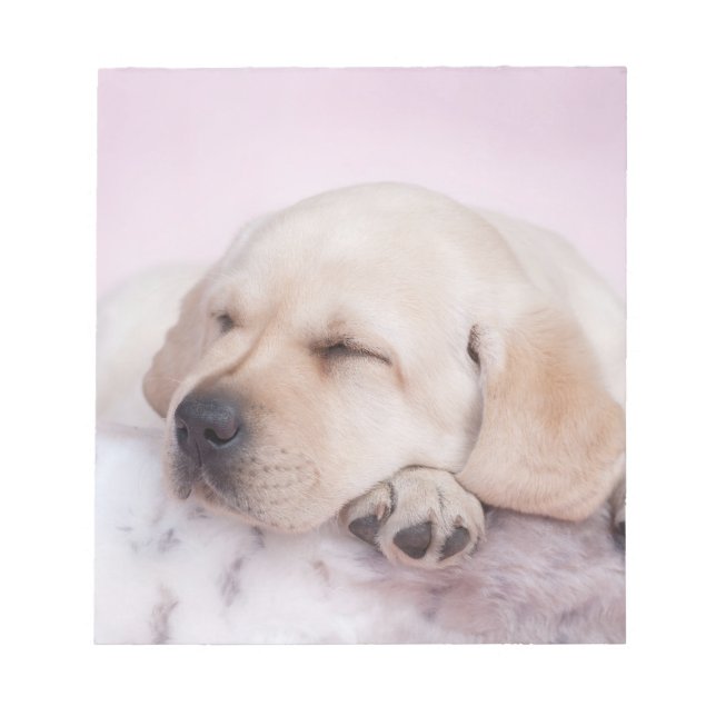 Yellow labrador retriever puppy notepad (Front)