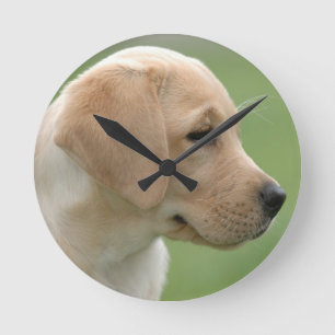 Yellow labrador retriever puppy round clock