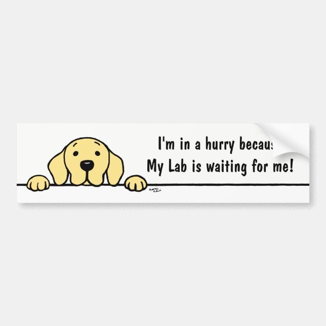 Yellow Labrador watching you Bumper Sticker (Front)