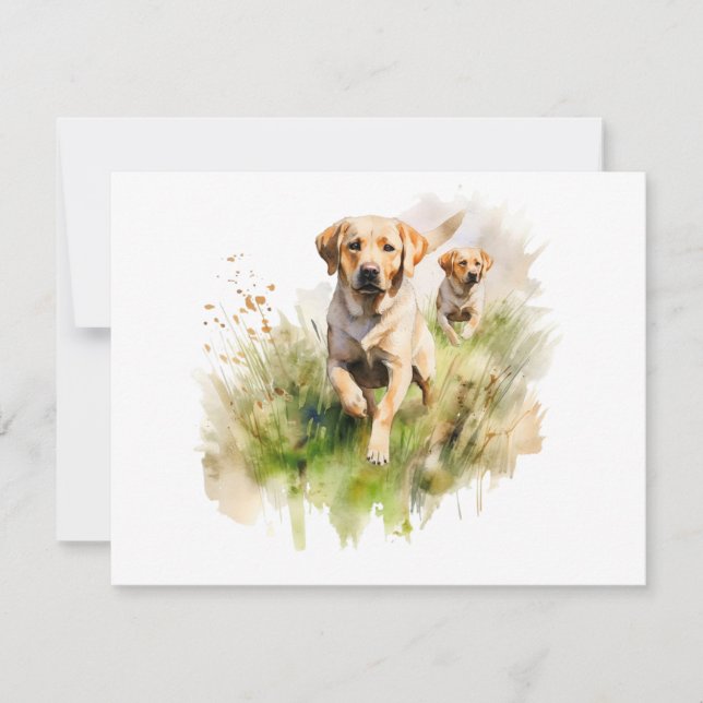 Yellow Labradors in the brush Card (Front)