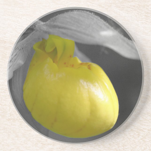 Yellow Lady Slipper Floral Coaster (Front)