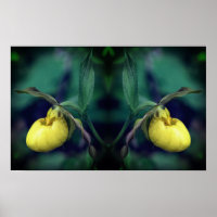 Yellow Lady Slipper Orchid Flower Mirror Abstract