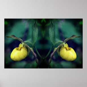 Yellow Lady Slipper Orchid Flower Mirror Abstract Poster