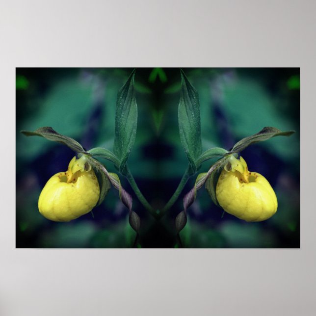 Yellow Lady Slipper Orchid Flower Mirror Abstract  Poster (Front)