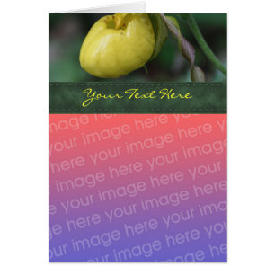 Yellow Lady Slipper Orchid Flower Photo Card
