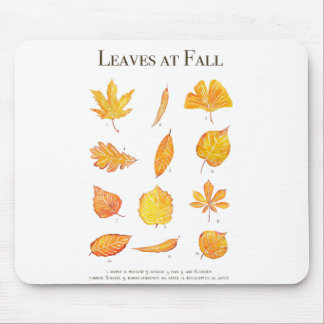 yellow leaves at fall collection mouse pad