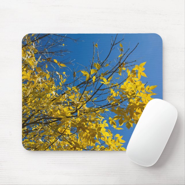 Yellow Leaves on Fall Ash Tree Nature Photography Mouse Pad (With Mouse)