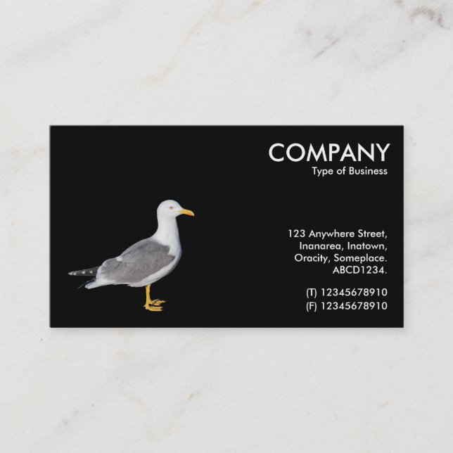 Yellow Legged Gull - Black Business Card (Front)