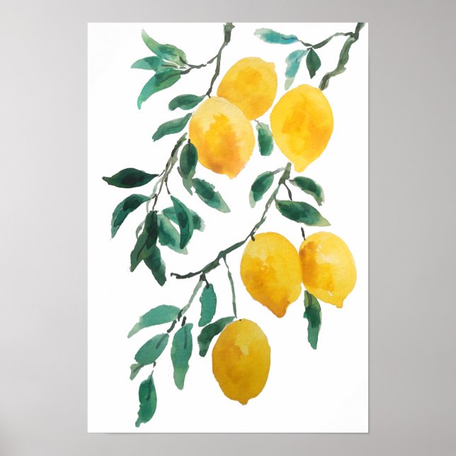 yellow lemon watercolor  poster (Front)