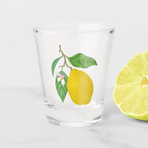 Yellow Lemon with Green Leaves and White Flower Shot Glass