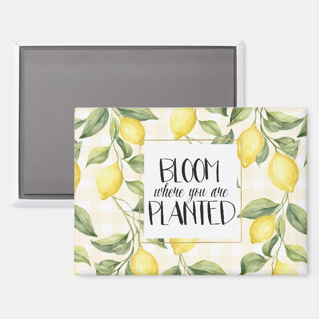 Yellow Lemons Bloom Where You Are Planted Magnet (Front/Back)