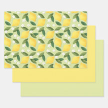 Yellow Lemons, Green Leaves and White Flowers