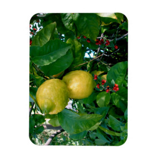 Yellow Lemons with Red Berries Magnet