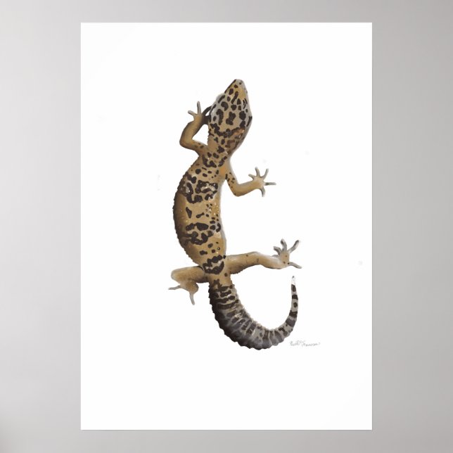Yellow leopard gecko poster (Front)