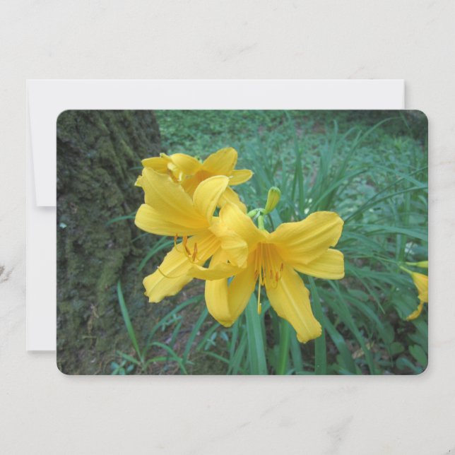 Yellow Lilies Holiday Card (Front)