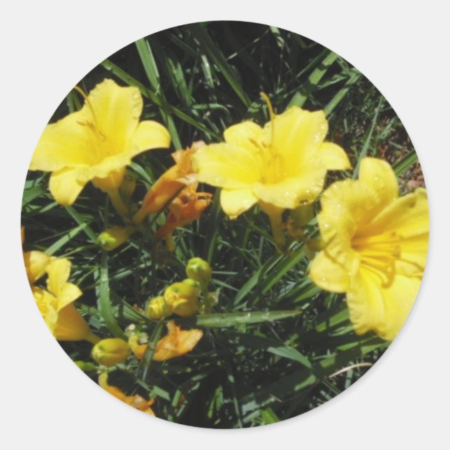 Yellow Lilies Sticker (Front)