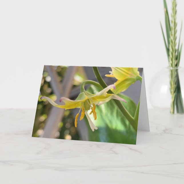 Yellow Lily Blank Card (Front)